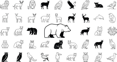 Fototapeta na wymiar Line- drawn silhouette collection of various carnivorous mammals and birds