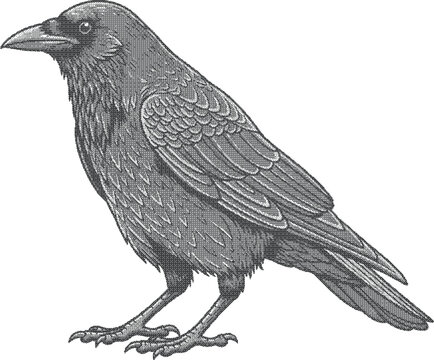 grunge dotted texture Detailed illustration of a crow standing on two legs with feathers and claws visible