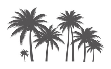Obraz premium Dark gray silhouette of multiple palm trees against a white