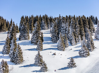 Landscape, winter, trees, nature, snow, mountains, sky, clubs,