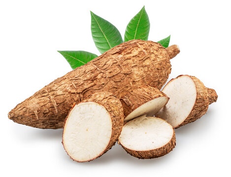Fresh cassava (manioc) or tapioca roots with sliced pieces and green leaves. Clipping path.