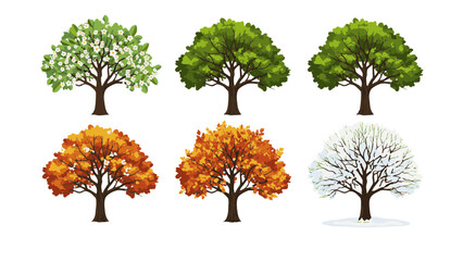 Six trees show seasonal changes with green, orange, and bare branches in a natural setting.
