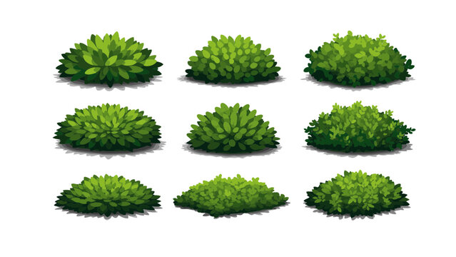 A collection of eight green bushes with various textures are arranged in three rows on a plain surface.