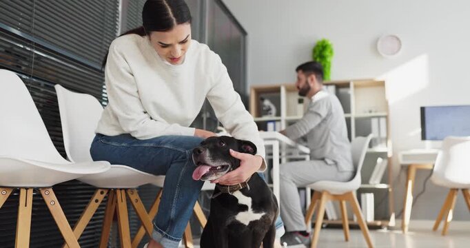 Owner woman with dog waiting at veterinarian clinic. Modern waiting room with male vet at desk, calm pet care vibe and context of checkup or consultation. Theme of veterinary trust and care.