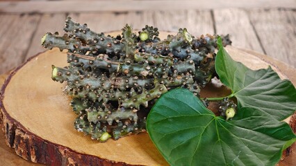 Heart leaved moonseed, Tinospora cordifolia. Thai herb.