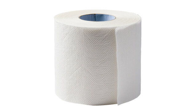 Isolated roll of soft white toilet paper or kitchen towel for hygiene and cleaning tasks.