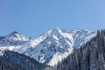 Landscape, winter, trees, nature, snow, mountains, sky, clubs,