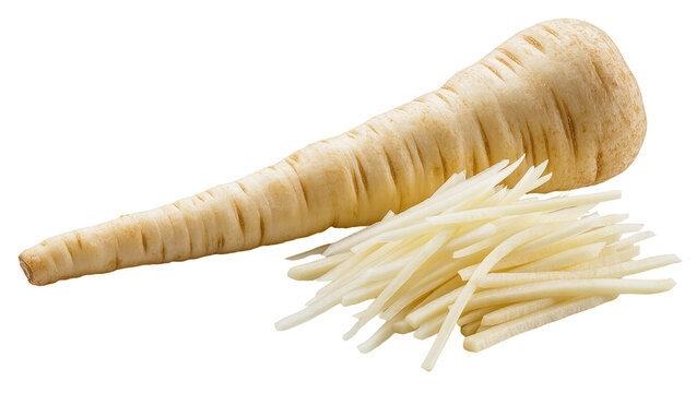 Isolated fresh parsnip vegetable, whole root and julienned sticks ready for cooking