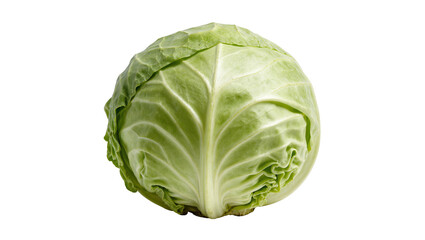 Obraz premium Isolated whole fresh vibrant green cabbage head, healthy natural leafy vegetable ingredient