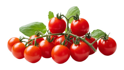 Isolated fresh ripe red cherry tomatoes on a green vine, perfectly vibrant for healthy eating. © Corman