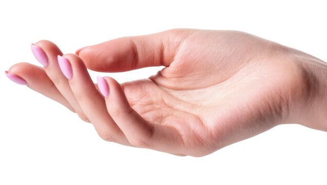 Isolated woman's hand with gentle pink manicure offering or holding something delicate
