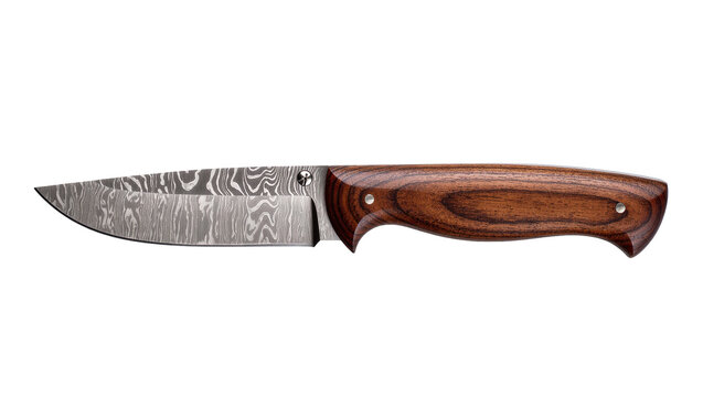 Isolated elegant fixed-blade hunting knife with beautiful Damascus steel blade and rich wooden handle