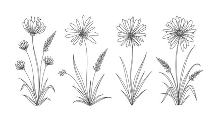 Four hand drawn floral and grass in dark gray white botanical line nature