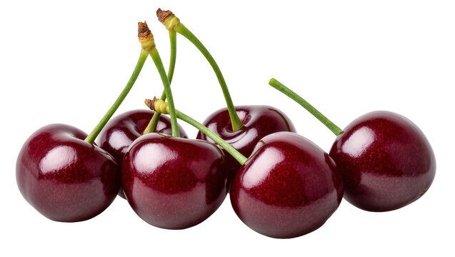 Isolated fresh, ripe, and juicy red cherries with green stems, a healthy summer fruit
