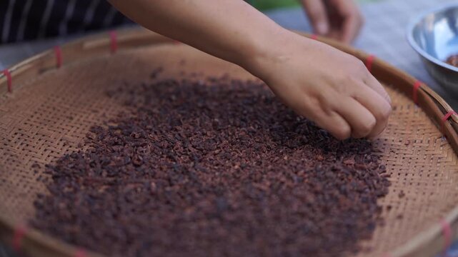 Hand Sorting Roasted Cacao Nibs on Round Bamboo Winnowing Tray During Bean to Bar Chocolate Processing