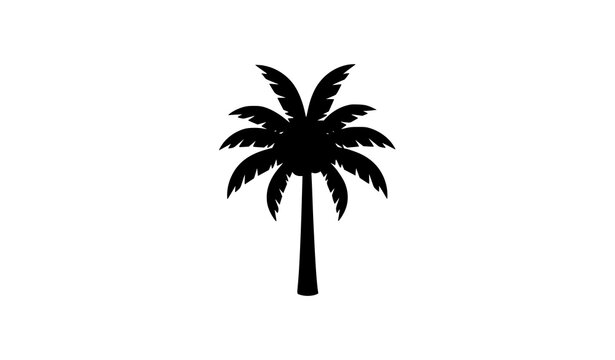 Minimal Palm Tree Silhouette Tropical Island Vector Icon