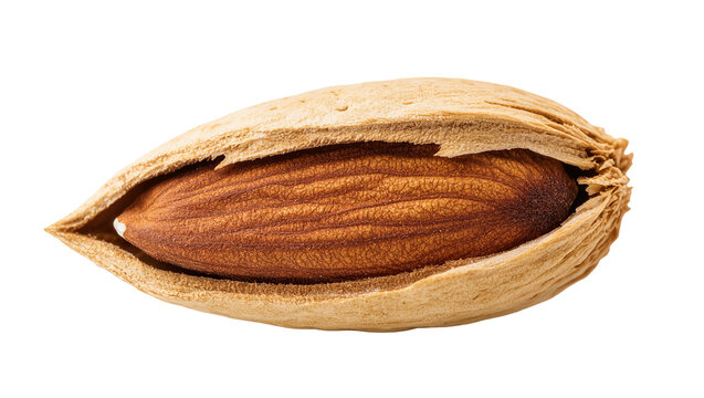 Isolated delicious raw whole almond nut with cracked open shell as healthy ingredient