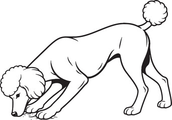 Fototapeta premium Standard Poodle Marking Territory Leg Lift Black and White Line Art Illustration