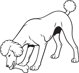 Obraz premium Standard Poodle Drinking Posture Black and White Line Art Illustration