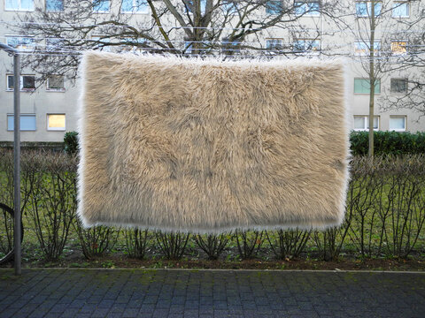 Flokati-Teppich auf einer W&auml;scheleine h&auml;ngend in einem Innenhof vor einer Hecke und einem Baum