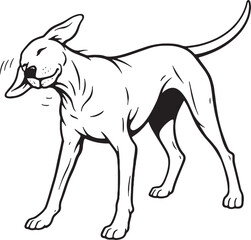 Fototapeta premium Vizsla shaking water off black and white line art illustration