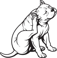 Obraz premium American Bully Scratching Ear Sitting Pose Black and White Line Art Illustration