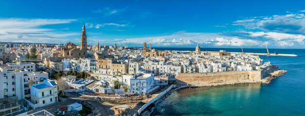 Aerial view of medieval castle and the historic center of Monopoli stunning blend of military fortification and Mediterranean coastal urbanism Puglia © tamas