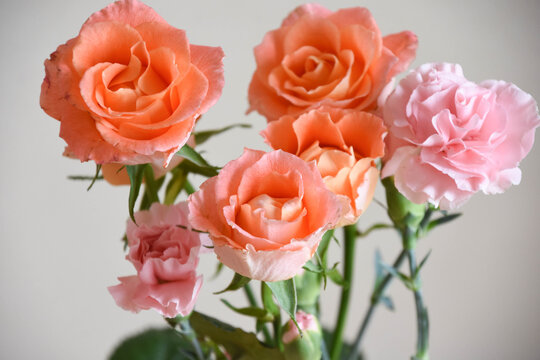 薔薇とカーネーション