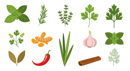 Fresh herbs and spices collection © Geovani