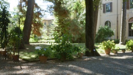 Fototapeta premium Blurred garden scene with trees, potted plants and a sunlit building facade in soft focus; background backdrop copyspace calm.