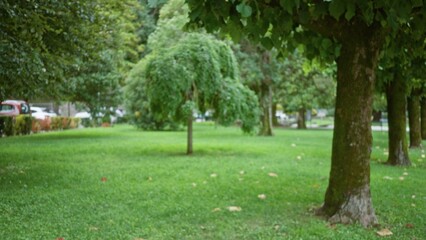 Blurred green park scene with shallow bokeh and soft defocused trees and lawn out of focus; background template overlay calm.