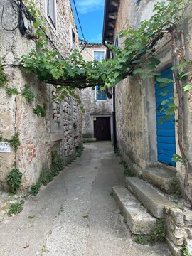 Narrow alleyway with greenery and stone buildings under blue sky  