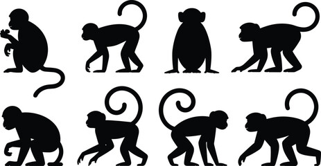 Naklejka premium Monkey silhouette collection. Primate sitting, crouching and walking poses with curled tails. Jungle monkey wildlife vector illustration set.