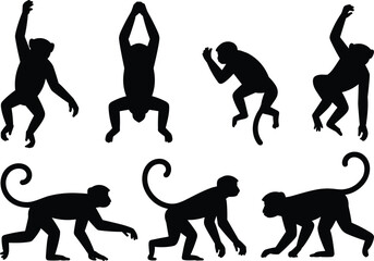 Monkey silhouette action poses. Primate jumping, hanging, running and walking positions. Wild jungle monkey movement vector illustration set. © Queen-Olivia-Studio