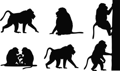 Mandrill monkey silhouette set. African primate walking, sitting, grooming and climbing poses. Wild jungle baboon wildlife vector illustration collection. © Queen-Olivia-Studio