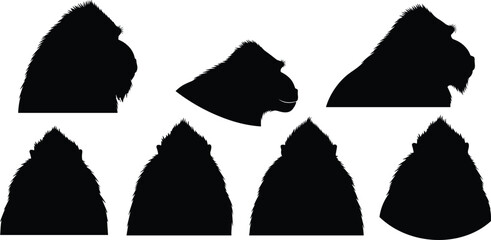 Mandrill head silhouette set. African baboon primate face profiles and front views. Wildlife monkey head icons vector collection. © Queen-Olivia-Studio