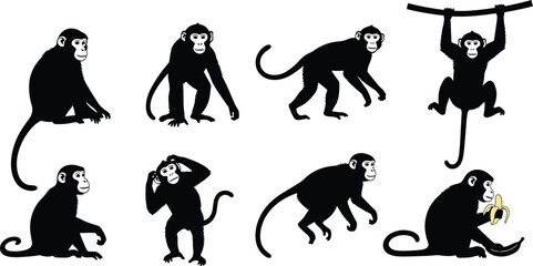 Monkey silhouette set. Cute primate poses collection with sitting, climbing, jumping and eating banana. Cartoon monkey animals isolated vector illustration pack. © Queen-Olivia-Studio