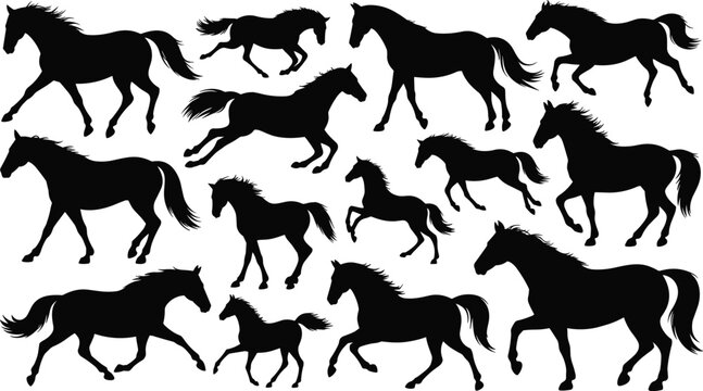 Running horse silhouettes collection. Wild stallion poses and galloping equine animals. Black horse motion set isolated, equestrian vector illustration pack.