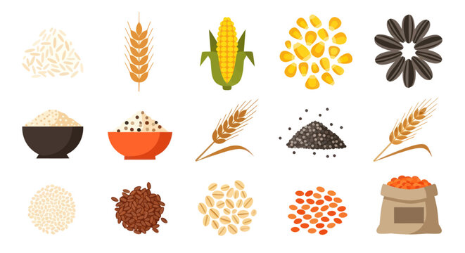 Various grains and seeds isolated on white