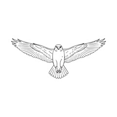 Obraz premium A drawing of two birds with their wings spread