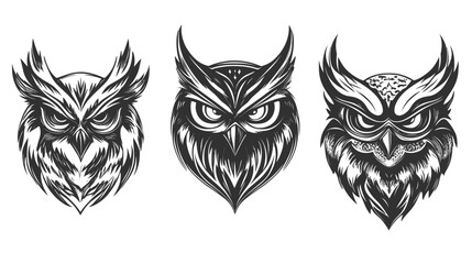 Fototapeta premium Three stylized, monochromatic owl head illustrations, featuring textured details, set against a white backdrop
