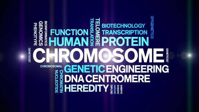 Chromosome animated word cloud-text design animation tag kinetic typography seamless loop.