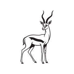 A drawing of an antelope with long horns © SI