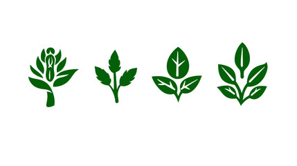 Fototapeta premium Four stylized botanical illustrations featuring green foliage on a white background