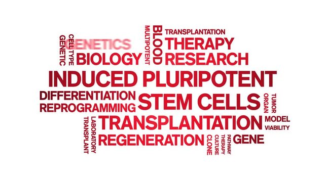induced Pluripotent Stem Cells animated word cloud-text design animation tag kinetic typography seamless loop.