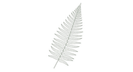 Single fern leaf outline drawing © Cantik