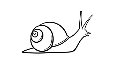 Detailed Line Drawing of a Snail with Prominent Shell. © Pras