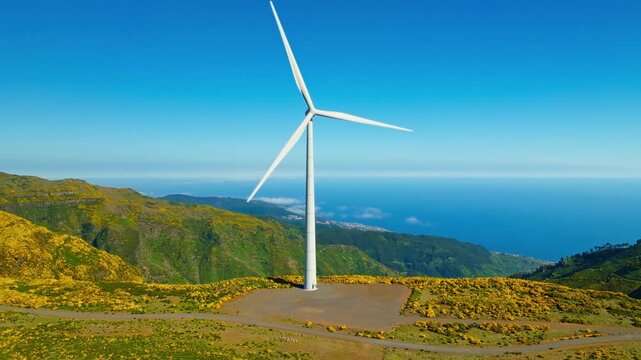 Green renewable alternative energy in Portugal - wind generator turbines among Cytisus flower shrubs generating electricity wind farm on Madeira island, Portugal. Orbit parallax shot