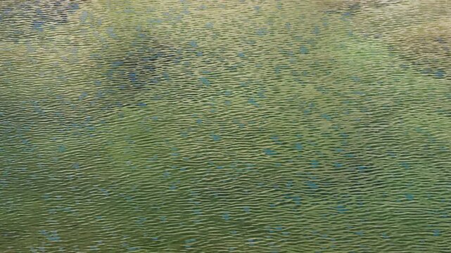 清流の水面に春風が吹き波紋が出来る1