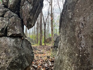 A captivating natural frame created by large, textured boulders looking out into a serene forest.